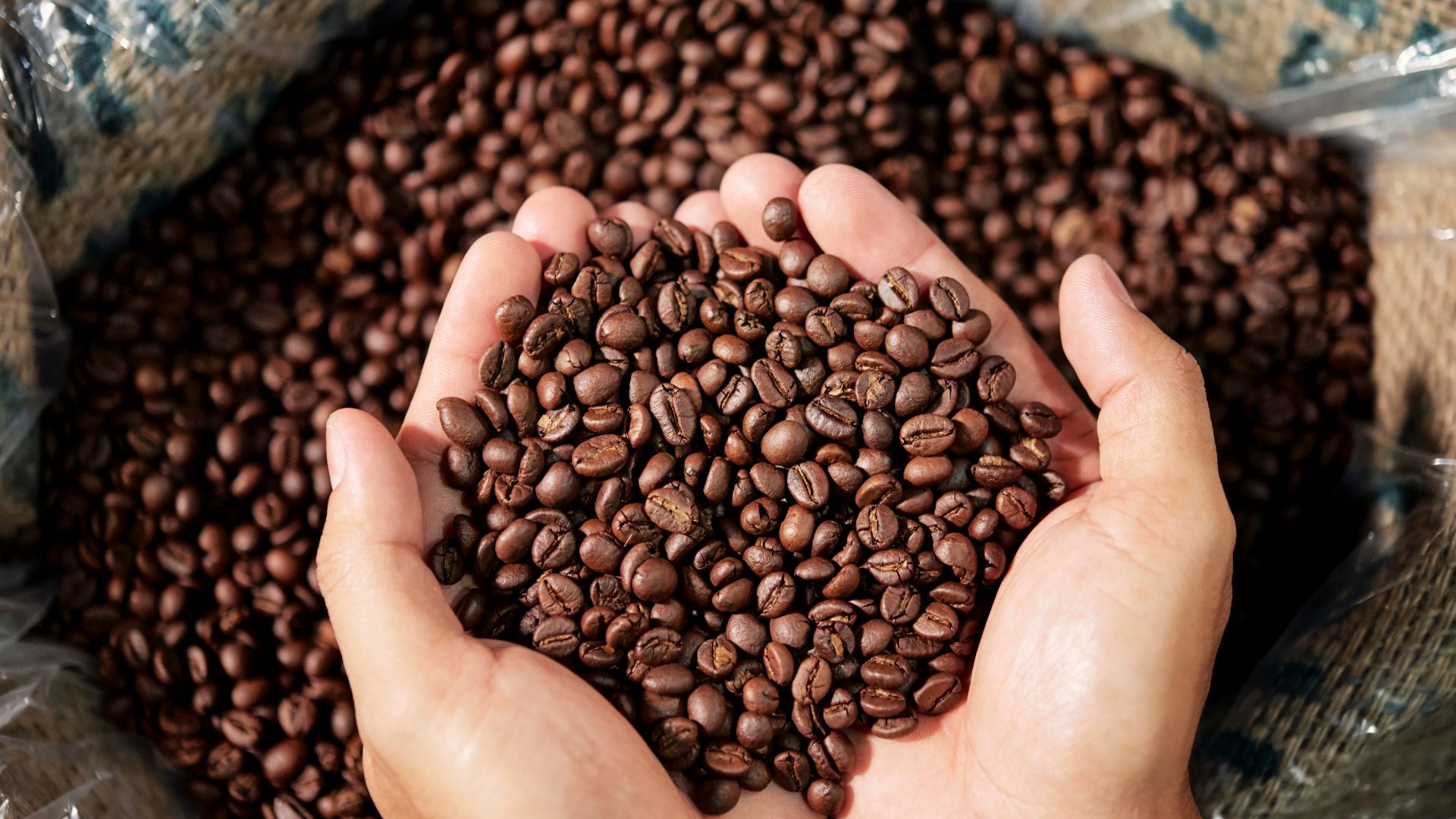 Arabica Roasted Beans