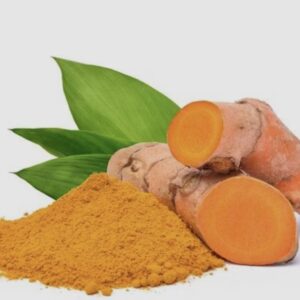 Kunyit (Curcuma longa)