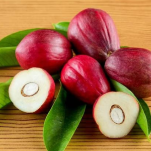 Mahkota Dewa (Phaleria macrocarpa)