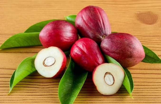 Mahkota Dewa (Phaleria macrocarpa)