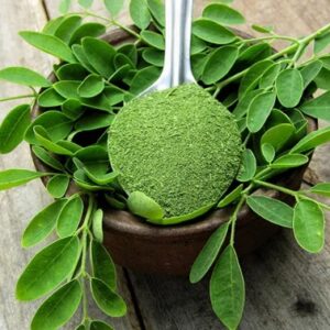 Moringa (Moringa oleifera)