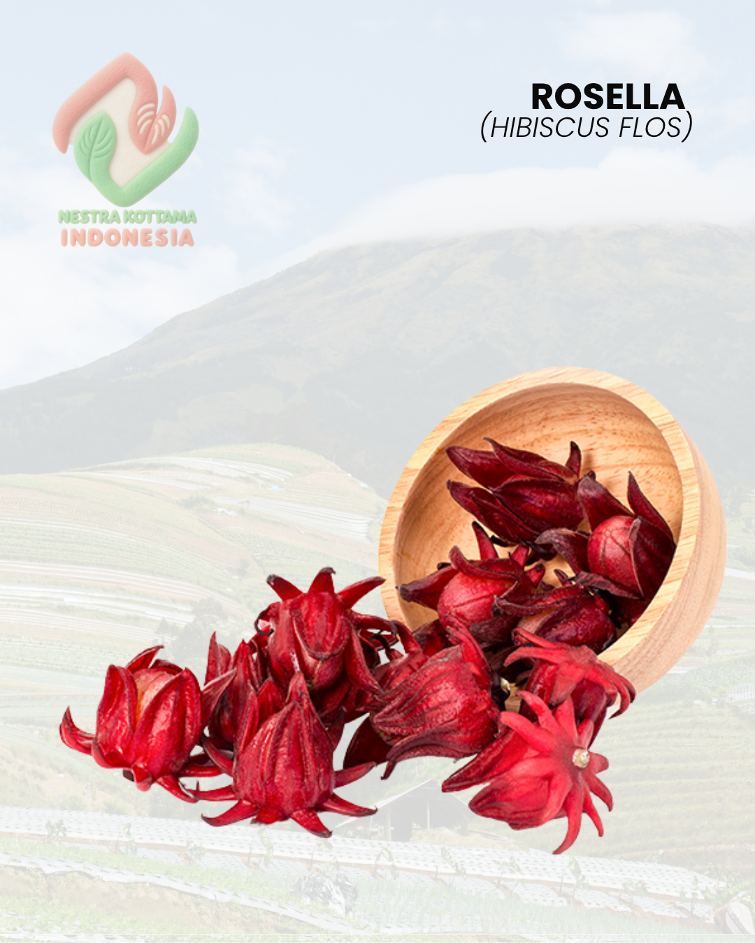 Rosella (Hibiscus flos)