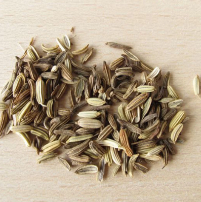 Adas (Foeniculi fructus)