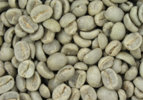 Arabica Green Coffee Beans