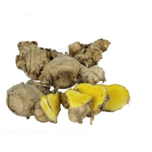 Bengkle (Zingiberis purpurei rhizome)
