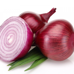 Bawang merah (Allium cepa L.)