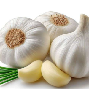 Bawang Putih (Allium sativum)