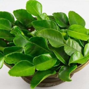 Daun Jeruk Purut (Citrus hystrix DC.)