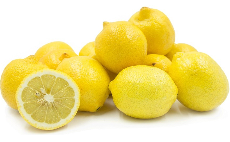 Jeruk Lemon (Citrus limon L.)