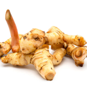 Kencur (Kaempferia rhizoma)