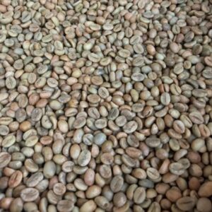Robusta Green Coffee Beans