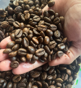 Robusta Roasted Beans